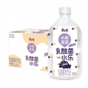 1L康师傅小酪多多